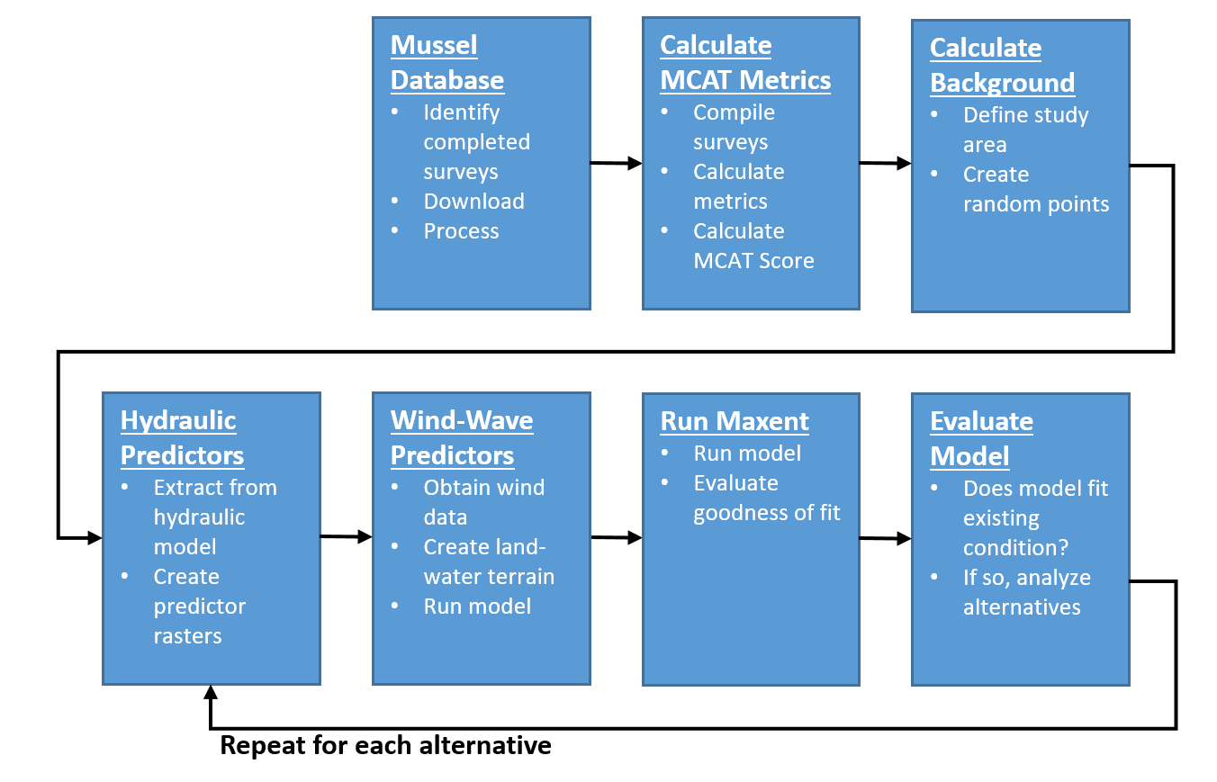 HREP Mussel Modeling Workflow.